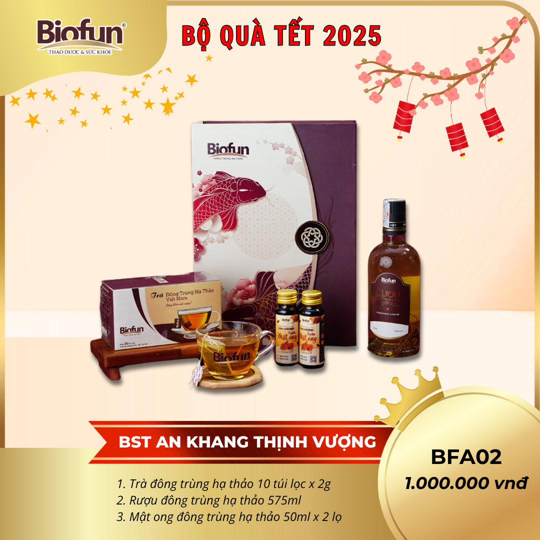 Bộ Quà Tặng Tết 2025 - An Khang Thịnh Vượng BFA02